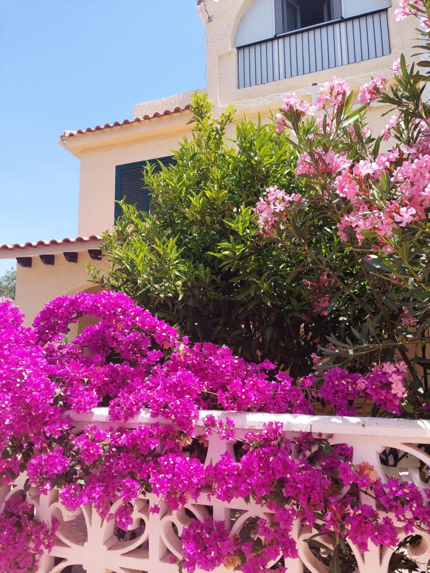 Casa vacanze Haus Am Torrevieja